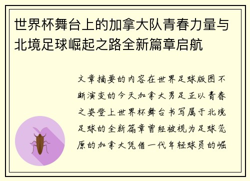世界杯舞台上的加拿大队青春力量与北境足球崛起之路全新篇章启航