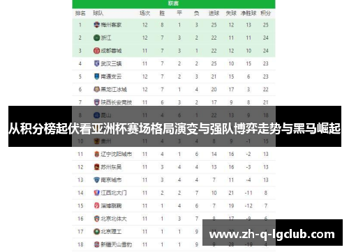 从积分榜起伏看亚洲杯赛场格局演变与强队博弈走势与黑马崛起