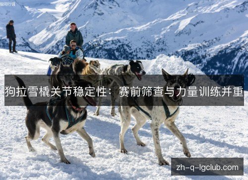 狗拉雪橇关节稳定性:赛前筛查与力量训练并重 狗拉雪橇关节稳定性:赛前筛查与力量训练并重